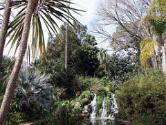 183 D35 PARC OLBIUS RIQUIER A HYERES_000052